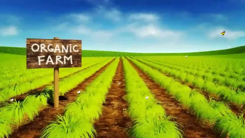 start with Organic Farming at farm house - organic monk