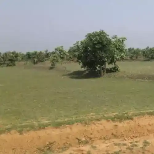 Buy and Sell Farm land - organic monk