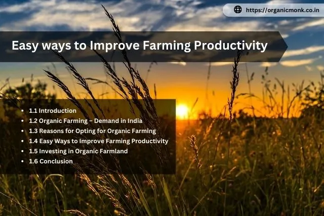 Improve Farming Productivity - organic monk