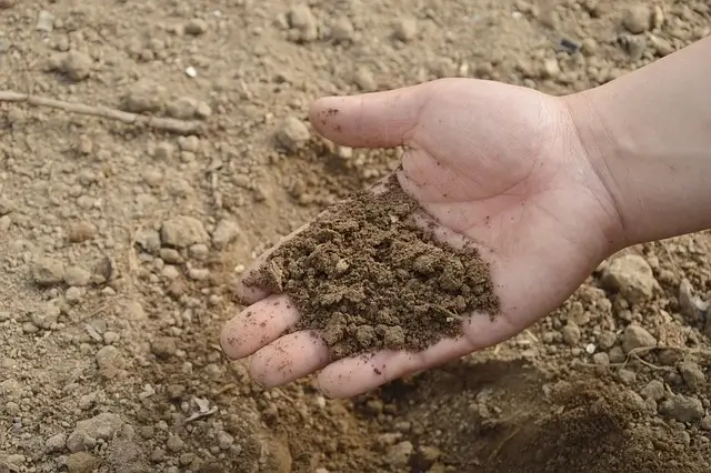 Importance Of Soil Health - organic monk