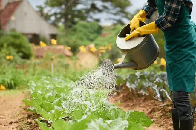 How to Start Farming at Home - organic monk