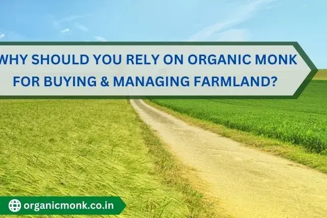 buying & managing Farmland - organic monk