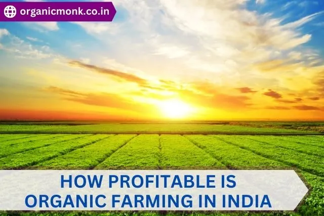 Profit in Organic Farming in India -organic monk