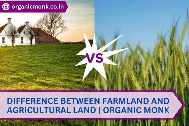 Farmland and Agricultural Land - organic monk