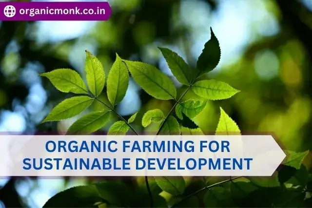 Organic Farming for Sustainable Development - organic monk