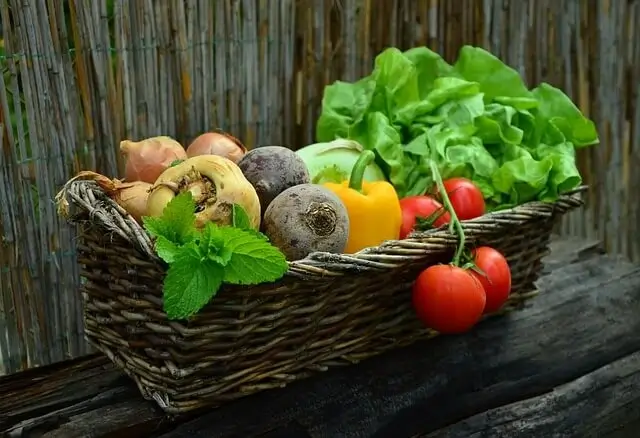 Why is Organic Food Gaining Popularity? - organic monk