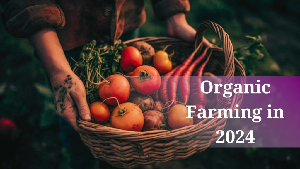 Organic Farming in 2024 - Organic Monk