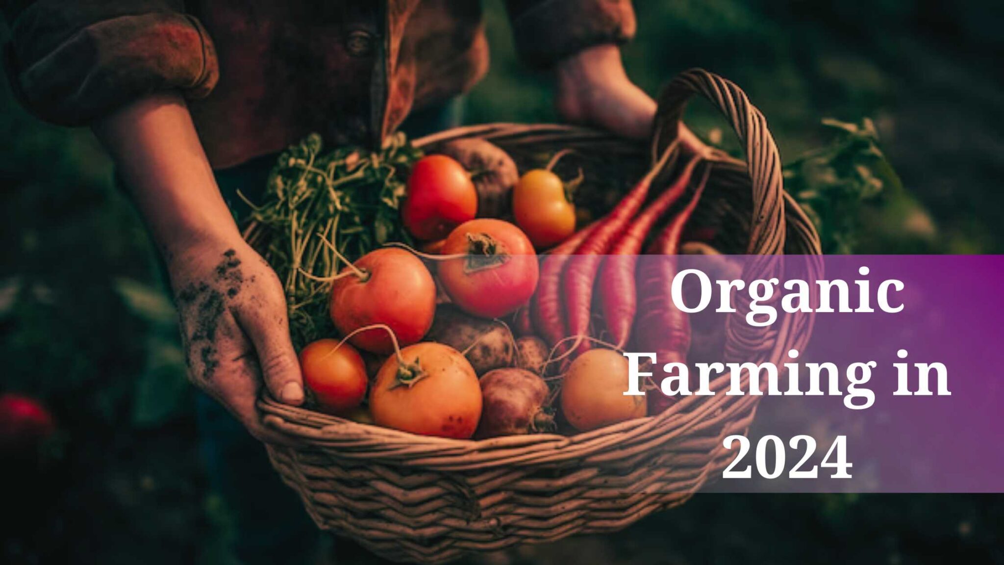 Organic Farming In 2024 2048x1152 